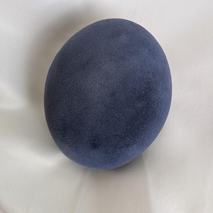 May include: A single, solid, oval-shaped object with a matte, dark navy blue finish. The surface appears smooth with a slight, uniform texture across the entire exterior. The object is rounded and symmetrical, presenting a simple, singular form.
