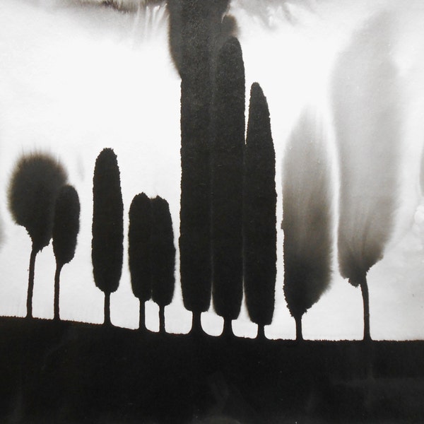 11.7X16.5 a3 éther OOAK Black et White Ink Wash Painting « Diversity in le même 280 jardin »