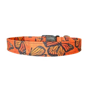 Dog Collar, Monarch Butterfly Puppy Collar, Orange and Black, Trendy Fall Pet Collars, Dog Mom Gift for Outdoor Nature Camping Hiking