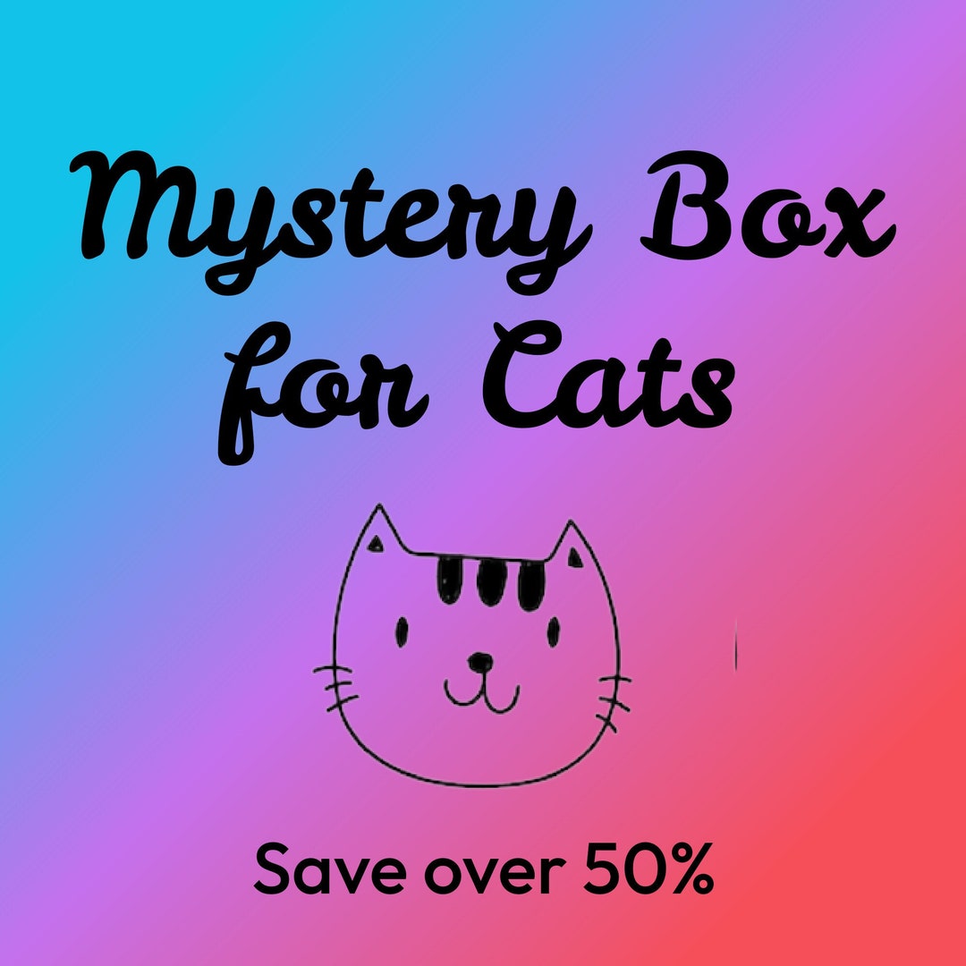 Cat Mystery Box Loaded With a Variety of Items Valued Over Etsy