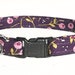 see more listings in the Cat Collars  section