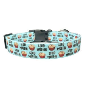 Stud Muffin Dog Collar, Boy Dog Collar Blue, Cute Funny Puppy Collar