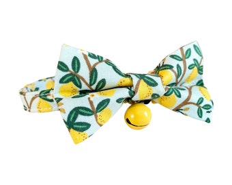 Rifle Paper Co® Bow Tie Cat Collar Set, Lemon and Bird on Mint Metallic Gold Stars on Black