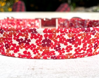 Girly Dog Collar, "Cinnamon Spice" Floral Puppy Collar, Red Merlot Burgundy Flower Girl Dogs White