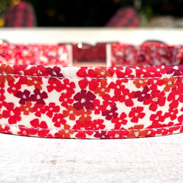 Cute Dog Collar Etsy