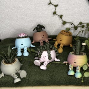 3D Printed Sitting Planter with mini plant, Whimsical Desk Companion