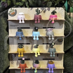 May include: A wooden display shelf holds a collection of colorful, smiling planter pots, each with a different succulent or cactus. The pots have arms and legs, and the text "moodyminis" is visible.