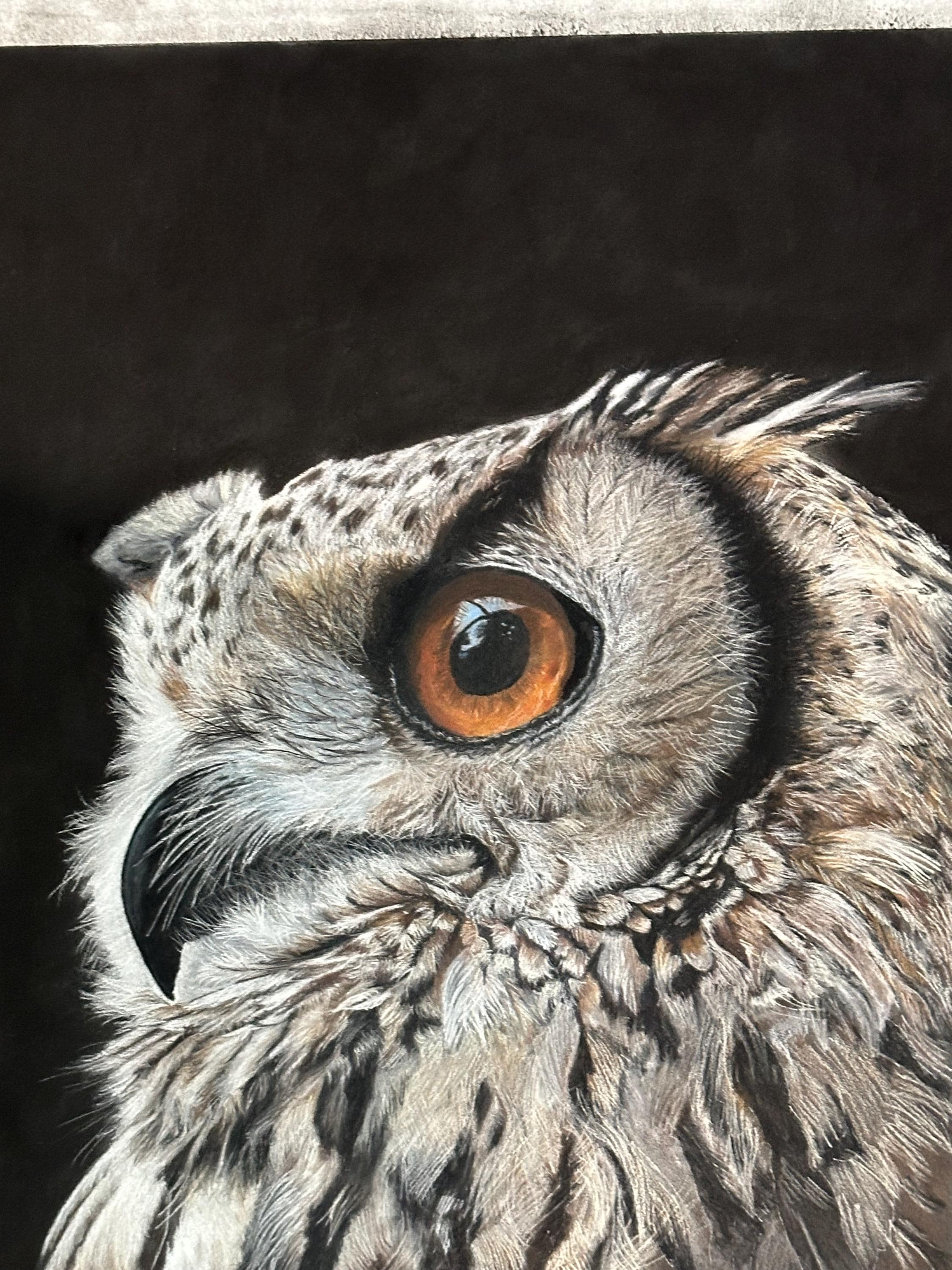 Amber Gaze - Original Owl Pastel Drawing, Realistic Wildlife Bird Art, Hand-Drawn Great Horned Owl W
