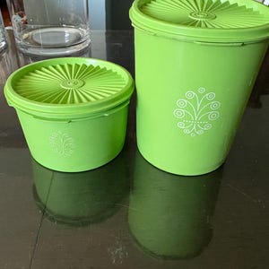 Può includere: Due contenitori in plastica verde lime con coperchi abbinati. Ogni contenitore presenta un motivo decorativo a linee bianche di ispirazione floreale sulla parte anteriore. I coperchi hanno un design a raggiera che si irradia dal centro. Il set include un contenitore alto e uno più basso e largo.