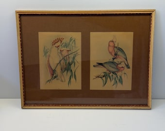 Vintage John Gould Parrot Prints, Double Cockatoo Artwork, Palm Beach Style Framed Art