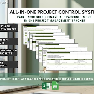 Project Management Excel Tracker | RAID Log Template | Project Control Workbook | Schedule + Financial Tracker | PMO Governance Tool