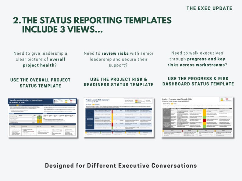 Project Manager Reporting Bundle | RAID Log Excel, Executive Status ...