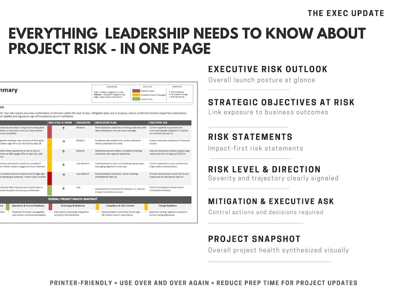 Project Risk Assessment Template | Executive Risk Report Slide | One ...
