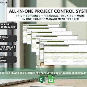 Project Management Excel Tracker | RAID Log Template | Project Control Workbook | Schedule + Financial Tracker | PMO Governance Tool