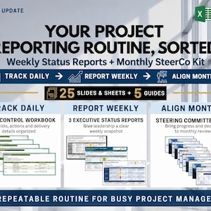May include: A digital project management toolkit titled The Exec Update, featuring 25 slides and sheets plus 5 guides. It includes an Excel control workbook for daily tracking, three executive status reports for weekly updates, and a steering committee deck for monthly alignment.
