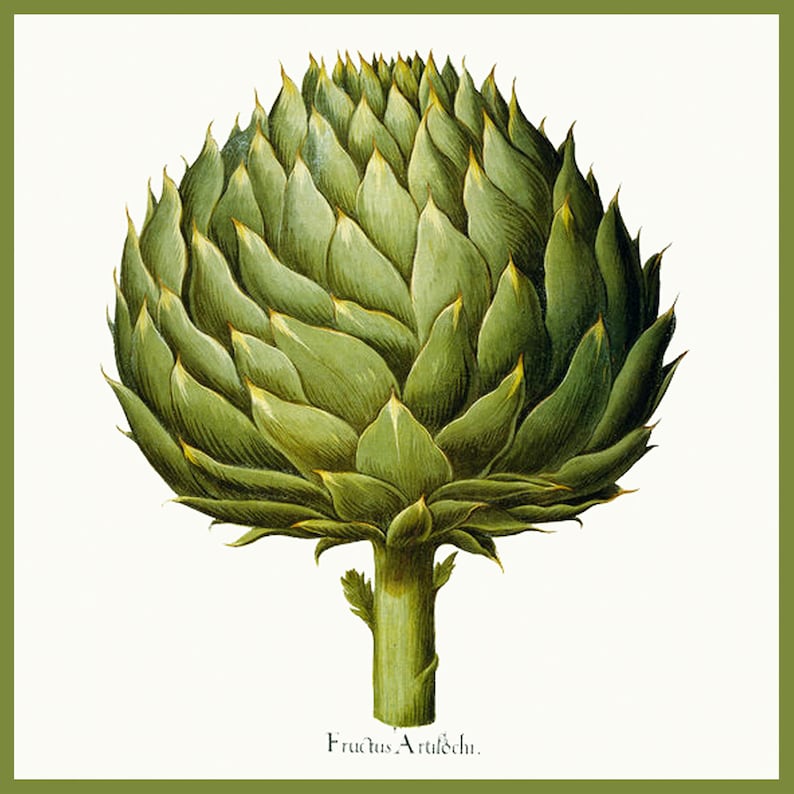 green artichokes botanical decoupage tray wall hanging home decor kitchen art decorative plate artichoke artichoke art