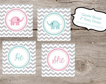 Gender Reveal Baby Elephant Party Circles - PDF printable format (Digital Download)