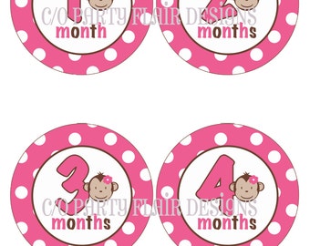 DIY Baby Monthly Onesie Stickers - Girl Mod Monkey
