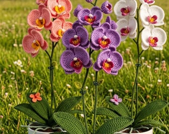 Patrón de ganchillo PDF de orquídea polilla / Flor de Phalaenopsis realista para decoración floral del hogar y cestas de flores / Para amantes de la jardinería / Descarga instantánea