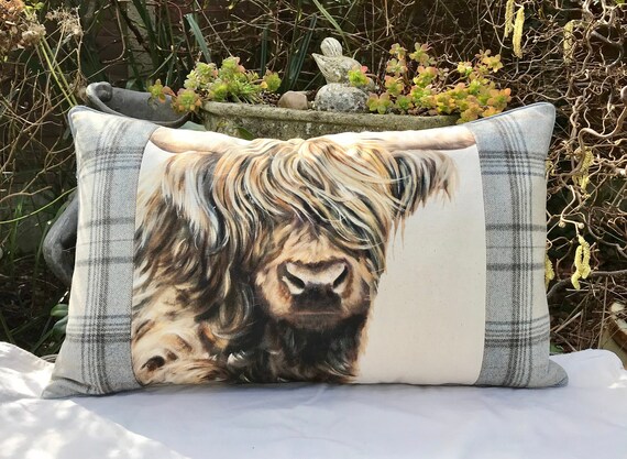 Longhaired Highland Cow Cushion Scottish Highlands Accent Etsy