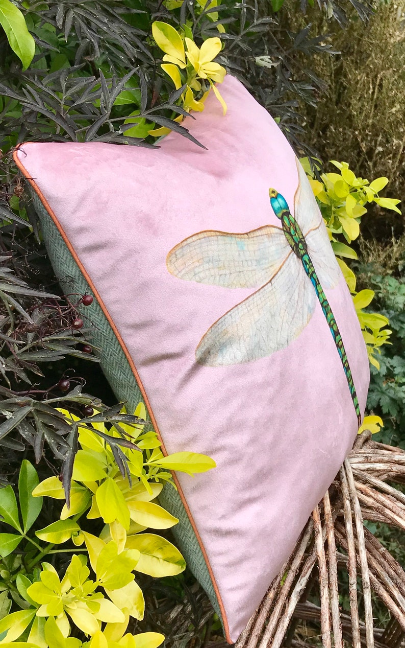 Velvet Dragonfly Cushion Cover in a Sherbert pink Arts and Etsy