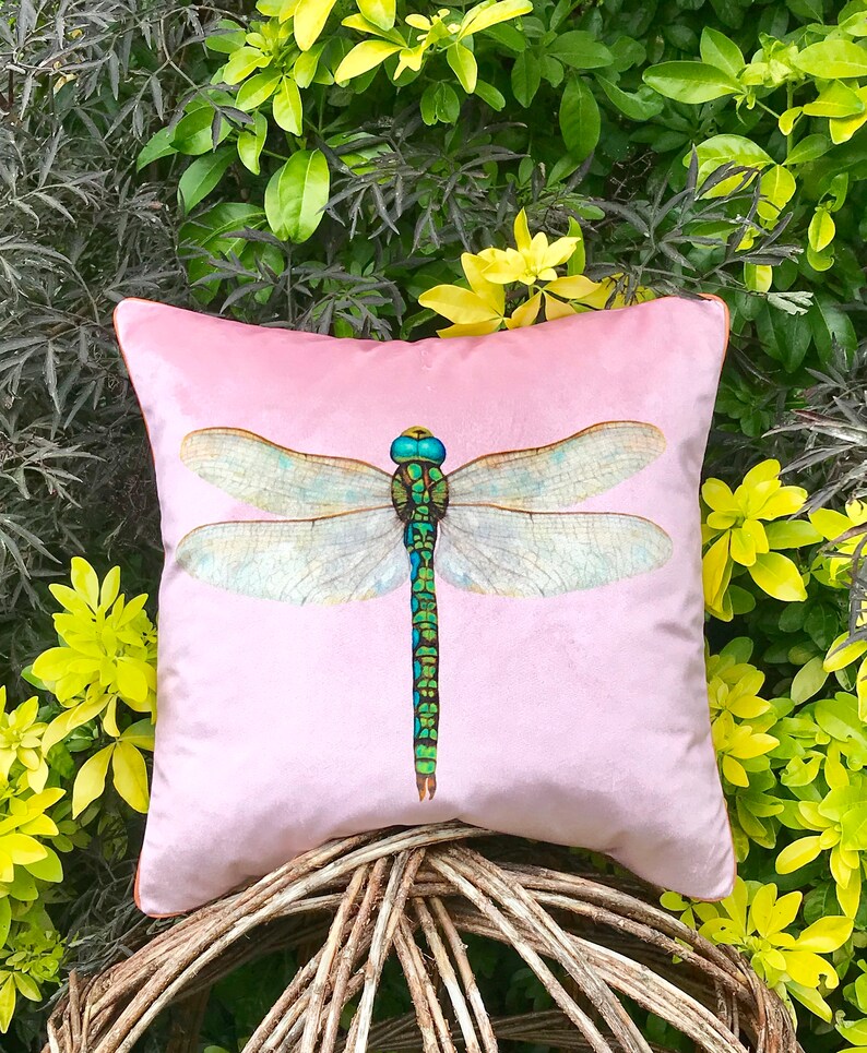 Velvet Dragonfly Cushion Cover in a Sherbert Pink Arts and Etsy UK