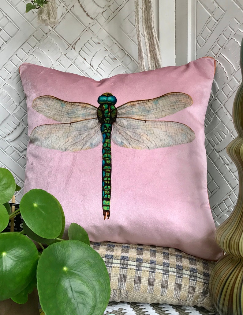 Velvet Dragonfly Cushion Cover in a Sherbert Pink Arts and Etsy