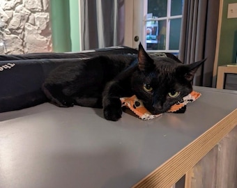 May include: A sleek black cat resting on a gray surface, with a small orange and white patterned object under its chin. The cat's eyes are open, and it appears relaxed. The background includes a window and a decorative wall.