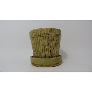 May include: A sage green ceramic plant pot with a raised, vertical bamboo stalk texture pattern on the exterior. The pot features a matching circular saucer base with a smooth, glossy finish, designed to hold the pot securely in place.