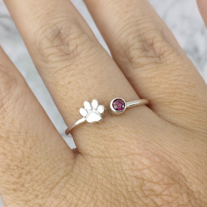 January Birthstone Paw 9mm Charm main image 1
