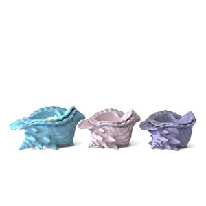 Può includere: Tre ciotole in ceramica a forma di conchiglie, disposte in fila. La prima ciotola è azzurra, la seconda è rosa pallido e la terza è di un viola lavanda più intenso. Ogni ciotola presenta un esterno strutturato e striato e un interno liscio.