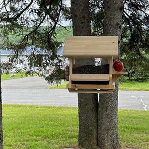 Puede incluir: Un comedero para pájaros de madera clara colgado de una rama de árbol. El comedero cuenta con un techo a dos aguas, un compartimento central de plástico transparente lleno de semillas de girasol negras, una pequeña plataforma lateral y una manzana.