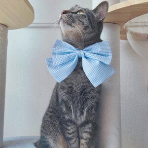 Könnte beinhalten: Eine getigerte Katze mit einer hellblau-weiß karierten Schleife. Die Katze blickt nach oben. Die Schleife ist ein auffälliges Merkmal. Die Katze sitzt auf einer weißen Oberfläche, im Hintergrund ist ein Kratzbaum zu sehen.