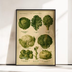 Könnte beinhalten: Ein gerahmter botanischer Druck mit dem Titel The Cabbage Tribe, der Illustrationen von Brassica oleracea-Sorten wie Kohl, Grünkohl, Brokkoli, Blumenkohl, Rosenkohl und Kohlrabi in Grün- und Cremetönen auf einem vintage-farbenen Hintergrund zeigt.