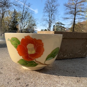 Può includere: Una ciotola in ceramica color crema con un vivace motivo floreale arancione e verde. La ciotola è appoggiata su una superficie di pietra, con una fontana e alberi sullo sfondo. Dietro la ciotola c'è una scatola di cartone marrone.