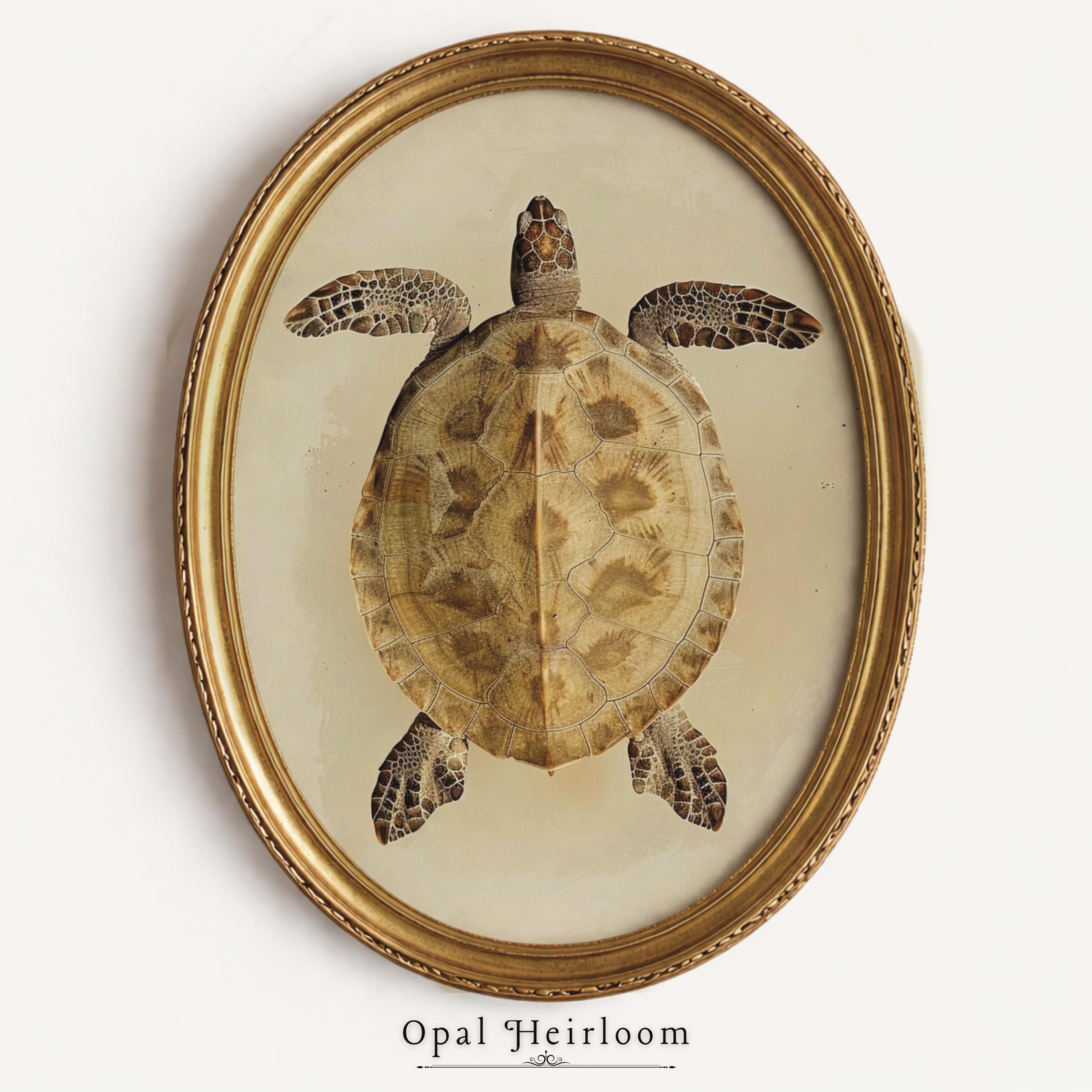 Vintage Turtle Print - Etsy