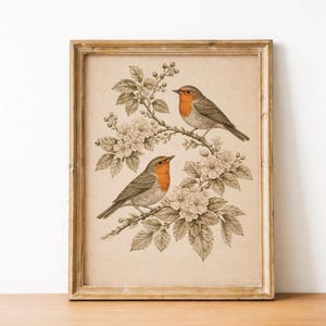 Antique Bird Print, Vintage Robin Wall Art, PRINTABLE Digital Download, Botanical Bird Illustration, Rustic Cottagecore Decor image 4