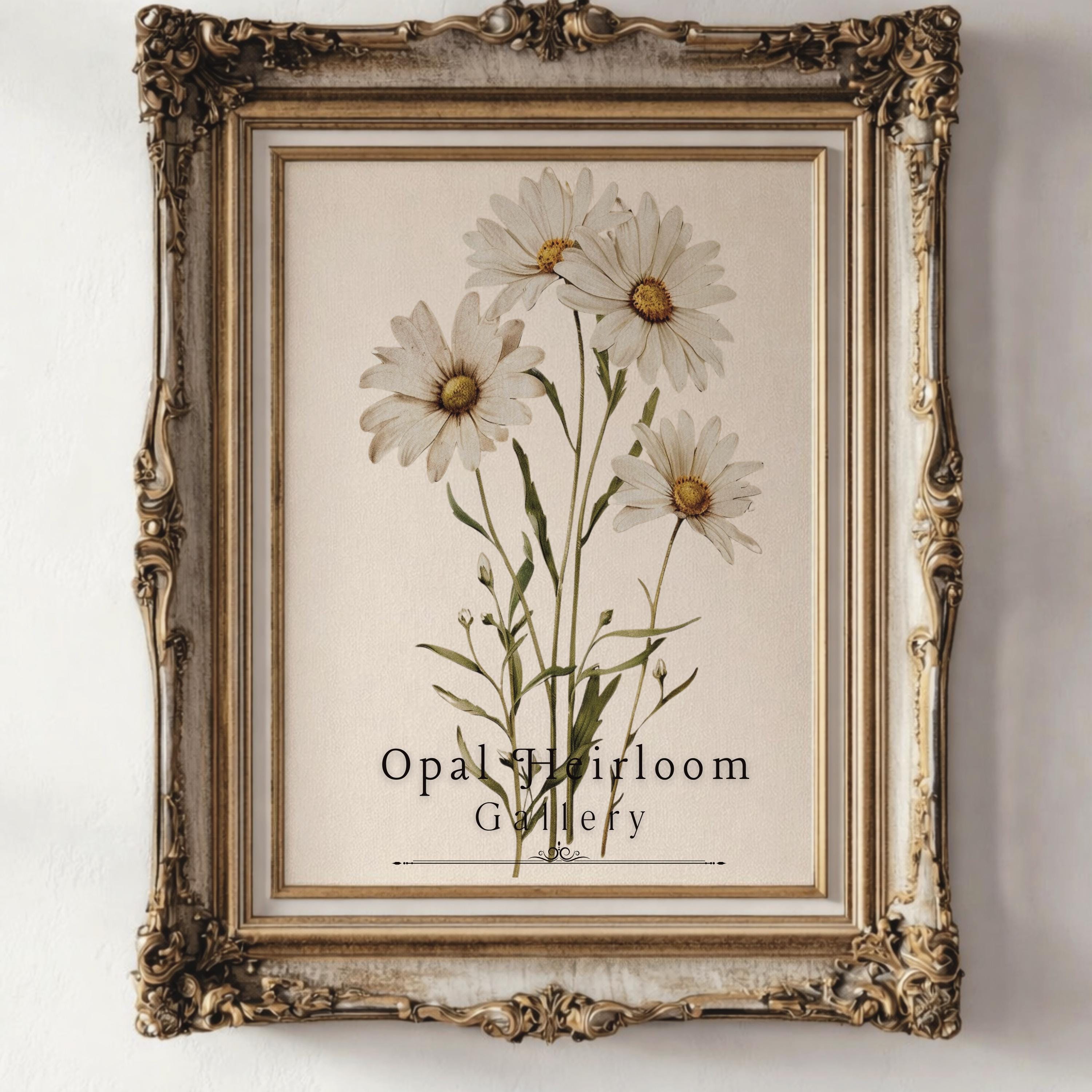 Daisy Wall Art Printable, Vintage Botanical Print Set, Neutral ...