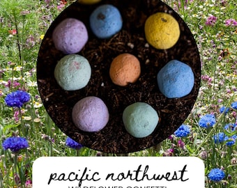 May include: A close-up of colorful wildflower confetti seed bombs in a circular arrangement. The seed bombs are in shades of blue, yellow, orange, and green. The text "pacific northwest WILDFLOWER CONFETTI SEED BOMBS" is displayed on a white background.