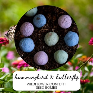 Pollinator Wildflower Seed Bombs, Hummingbird & Butterfly Garden Mix