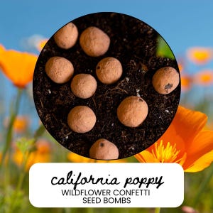 California Poppy Seed Bombs, Native Wildflower Garden Confetti