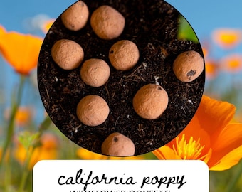 California Poppy Seed Bombs, Native Wildflower Garden Confetti