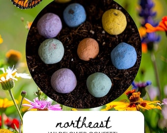May include: A close-up of a circle of soil with colorful seed bombs. The seed bombs are in shades of blue, purple, orange, and yellow. The text "northeast WILDFLOWER CONFETTI SEED BOMBS" is in a white rectangle at the bottom of the image. A butterfly is in the upper left corner.
