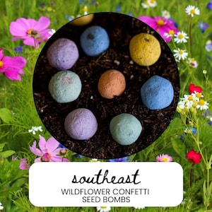 May include: A close-up of a collection of colorful wildflower seed bombs in a bed of soil, surrounded by a vibrant array of wildflowers. The seed bombs are in shades of blue, yellow, purple, and orange. The text "southeast WILDFLOWER CONFETTI SEED BOMBS" is at the bottom.