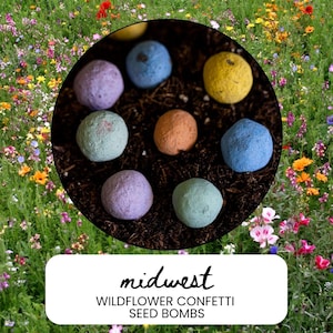 May include: A close-up of a collection of colorful seed bombs in a circular frame, set against a backdrop of a vibrant wildflower meadow. The seed bombs are in shades of blue, yellow, orange, and green. The text "midwest WILDFLOWER CONFETTI SEED BOMBS" is displayed.