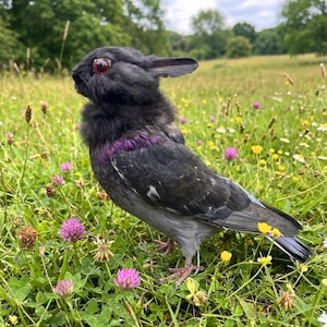 Può includere: Un cartello in legno rustico con la scritta "Welcome to our home" in lettere bianche. Il cartello presenta una finitura invecchiata e un design semplice e invitante, ideale per l'arredamento della porta d'ingresso.