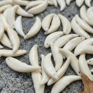30 Stück Echte Kojotenzähne | Wählen Sie Ihre Größe | Vorgebohrte Bone Charms | DIY Schmuck Versorgung | Tribal Kostüm-Kunst | Geier-Kultur-Handwerk