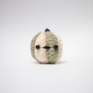 Op de afbeelding: Een kleine gehaakte pompoen met een groen-wit gestreept patroon. Hij heeft zwarte knoopjes voor ogen en een kleine zwarte mond.