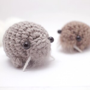 Padrão de amigurumi - padrão de crochê de criaturas marinhas (e-book) imagem 2