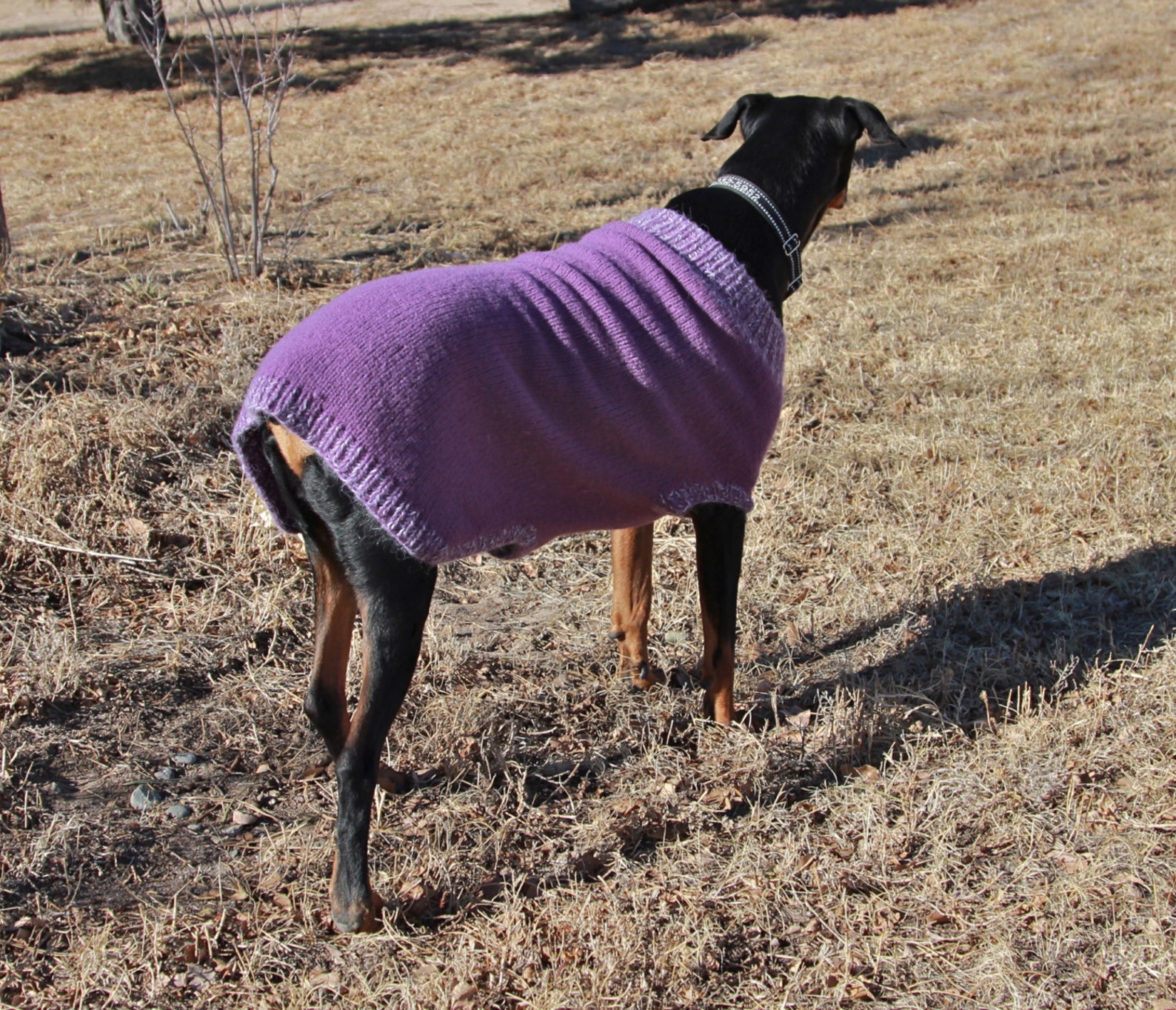 Knitting Pattern for XL Dog Sweater XL Felted Dog Sweater Pattern PDF
